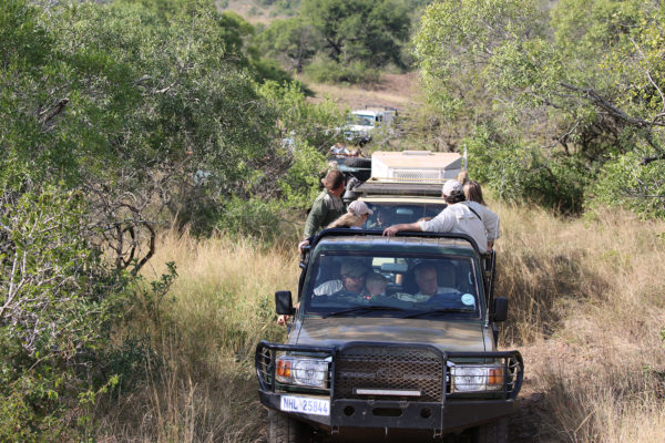rhino dehorning team on road-Africa